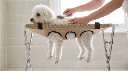 Small white dog suspended in the Pawperch grooming stand with all four legs through the mesh holes, being brushed