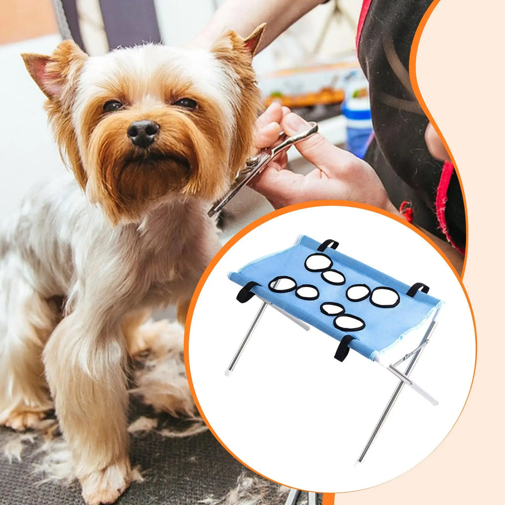 Yorkshire terrier being groomed, shown with the Pawperch stand in light blue