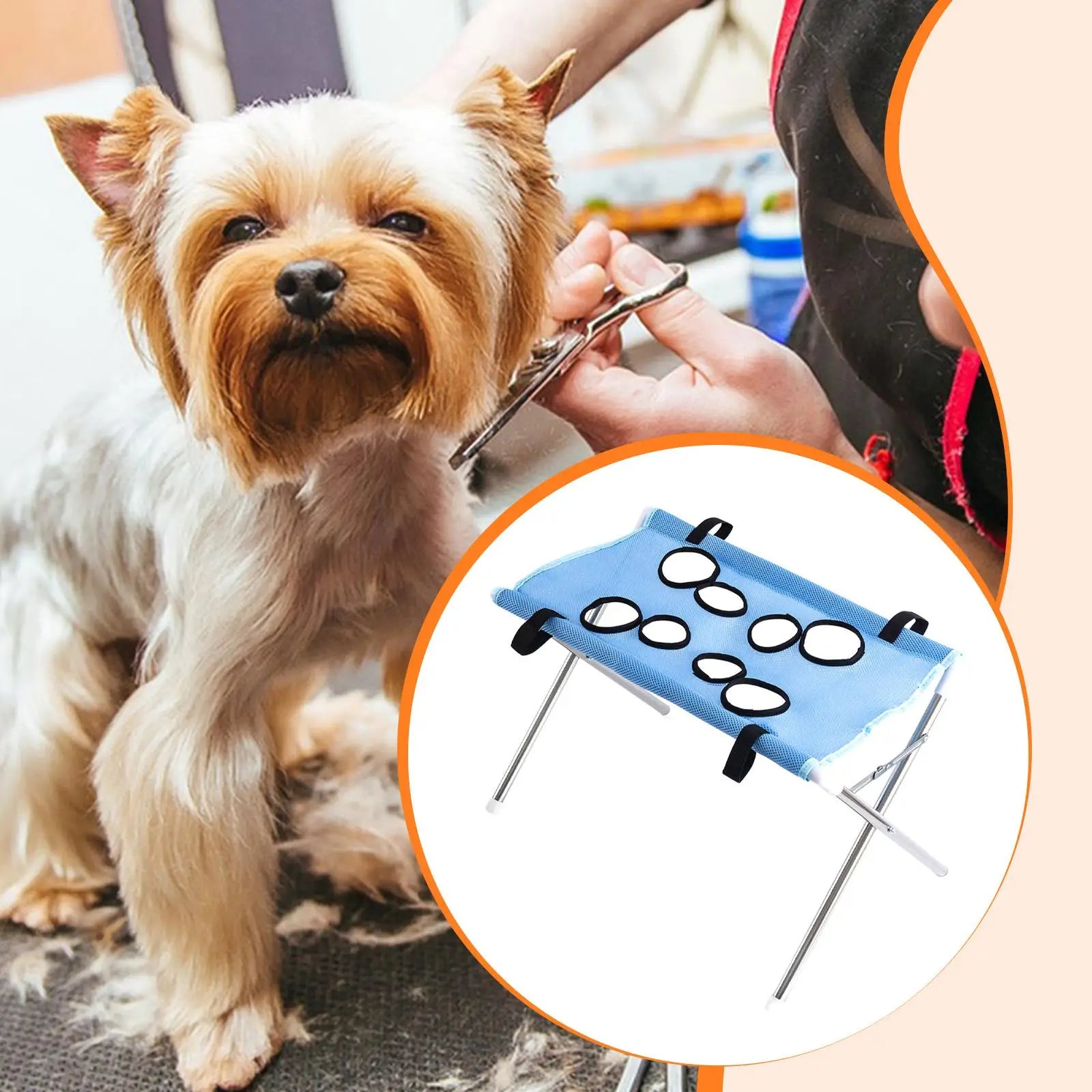 Yorkshire terrier being groomed, shown with the Pawperch stand in light blue